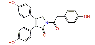 Neolamellarin B